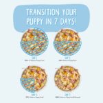 Weruva Dogs in the Kitchen Puppy Beef & Rice Formula in Gravy Wet Dog Food, photo 6