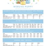 Weruva Dogs in the Kitchen Puppy Beef & Rice Formula in Gravy Wet Dog Food, photo 7