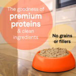 Canidae Pure Petite , Grain Free Chicken & Peas Pâté for Small Breed Dogs Wet Dog Food, photo 2