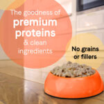 Canidae Pure Petite , Grain Free Minced Beef and Carrots Recipe for Small Breed Dogs Wet Dog Food, photo 2