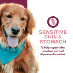 Fromm Gold Nutritionals Sensitive Skin and Stomach Complete Pâté Wet Dog Food, photo 2