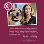Fromm Gold Nutritionals Sensitive Skin and Stomach Complete Pâté Wet Dog Food, photo 4