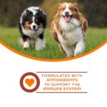 Fromm Nutritionals Immunity Supplement Pâté Dog Food Topper, photo 3
