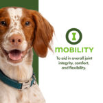 Fromm Nutritionals Mobility Supplement Pâté Dog Food Topper, photo 2