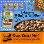 Fromm Four-Star balaya Beef, Vegetable, & Rice Stew Wet Dog Food, photo 5
