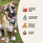 Fromm Four-Star Pâté Beef & Sweet Potato Pâté Grain-Free Wet Dog Food, photo 3