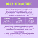 Wellness Core Protein Bowls Beef, Potato & Green Beans Wet Dog Food, photo 3