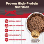 Wellness CORE Beef, Venison & Lamb Wet Dog Food, photo 3