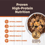 Wellness Core Hearty Cuts Chicken & Turkey Wet Dog Food, photo 3