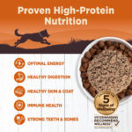 Wellness Core 95% Turkey & Spinach Wet Dog Food, photo 3