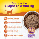 Wellness Complete Health Turkey & Sweet Potato Wet Dog Food, photo 3