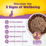Wellness Complete Health Age Advantage Pate Chicken Wet Dog Food, photo 3