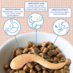 Inaba Churu Meal Chicken with Beef Recipe Dog Food Topper, photo 2