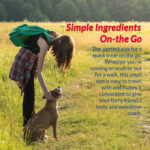 Inaba Churu Meal Chicken Recipe Dog Food Topper, photo 2