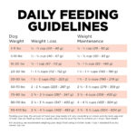 Go! Solutions Weight Management + Joint Care Salmon Grain-Free Dry Dog Food, photo 6