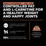 Go! Solutions Weight Management + Joint Care Salmon Grain-Free Dry Dog Food, photo 3