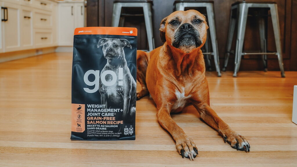 Go! Solutions Weight Management + Joint Care Salmon Grain-Free Dry Dog Food