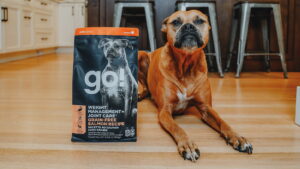 Go! Solutions Weight Management + Joint Care Salmon Grain-Free Dry Dog Food