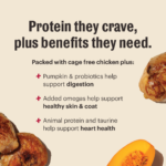 The Honest Kitchen Whole Food Clusters Grain Free Chicken Protein Plus Clusters Dry Dog Food, photo 2