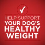 Purina ONE Lamb & Brown Rice Tender Cuts in Gravy Wet Dog Food, photo 4