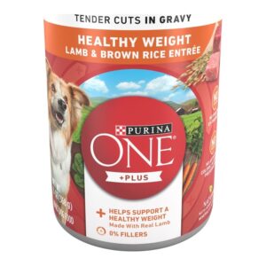 Purina ONE Lamb & Brown Rice Tender Cuts in Gravy Wet Dog Food