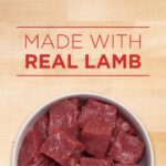 Purina ONE Lamb & Brown Rice Tender Cuts in Gravy Wet Dog Food, photo 5