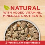 Purina ONE Lamb & Brown Rice Tender Cuts in Gravy Wet Dog Food, photo 3