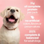 Purina Beneful Chicken & Peas in Gravy Wet Dog Food, photo 5