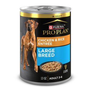 Purina Pro Plan Adult Large Breed Chicken & Rice Entrée In Gravy Wet Dog Food