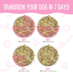 Weruva Dogs in the Kitchen Meals ‘n More Amazon Livin’ Plus Digestive Support Wet Dog Food, photo 4
