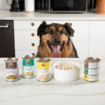 Weruva Dogs in the Kitchen Classic Dog Hot Dayam with Lamb in Gelée Wet Dog Food, photo 6
