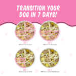 Weruva Dogs in the Kitchen BFF Fun Size Meals Wanna Be Withya Chicken & Rice Wet Dog Food, photo 3