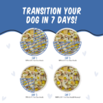Weruva Dogs in the Kitchen BFF Fun Size Meals Wham Bam Chicken, Eggs & Ham Wet Dog Food, photo 3