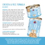 Weruva Dogs in the Kitchen Puppy Chicken & Rice Formula in Gravy Wet Dog Food, photo 6