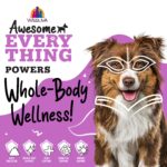 Weruva Dogs in the Kitchen Awesome Everything Chicken, Rice & Pumpkin Multicare Wet Dog Food, photo 5