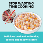 Koha Limited Ingredient Bland Diet Beef & Rice Recipe Wet Dog Food, photo 3