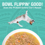 Koha Pure Shreds Shredded Duck Entrée Wet Dog Food, photo 4