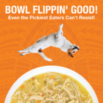 Koha Pure Shreds Shredded Chicken Breast Dog Entrée Wet Dog Food, photo 2