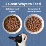 Koha Minimal Ingredient Stew Rabbit Stew Wet Dog Food, photo 3