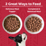 Koha Minimal Ingredient Stew Grain-Free Beef Stew Wet Dog Food, photo 4