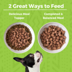 Koha Minimal Ingredient Stew Duck Stew Wet Dog Food, photo 4