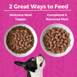 Koha Minimal Ingredient Stew Pork Stew Wet Dog Food, photo 4