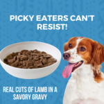 Koha Minimal Ingredient Stew Lamb Stew Wet Dog Food, photo 3