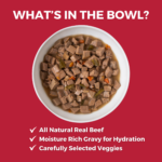 Koha Lone Star Brisket Slow Cooked Stew Wet Dog Food, photo 3