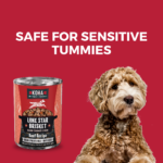 Koha Lone Star Brisket Slow Cooked Stew Wet Dog Food, photo 4