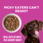 Koha Santa Fe Skillet Slow Cooked Stew Wet Dog Food, photo 4