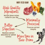 Primal Freeze-Dried Raw Nuggets Dog Food Topper, photo 4