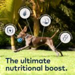 Ziwi Air-Dried Chicken Dog Food Topper, photo 6