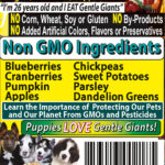 Gentle Giants already_have Natural Non GMO Ingredients Dog and Puppy Food - Fresh Beef Grain-Free Wet Dog Food, photo 6