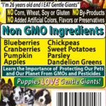 Gentle Giants Natural Non GMO Ingredients Grain Free Dog and Puppy Food Gentle Giants ‘Quality of Life’ 90% Chicken -Dog and Pup Wet Dog Food, photo 4